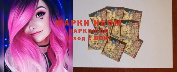 сатива Няндома