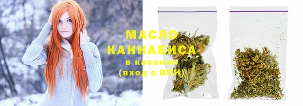 сатива Няндома