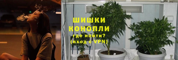 шишки Нягань