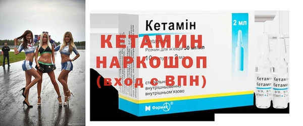сатива Няндома