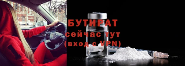 сатива Няндома