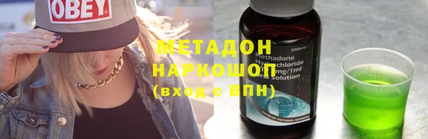 сатива Няндома