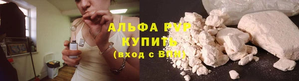 сатива Няндома