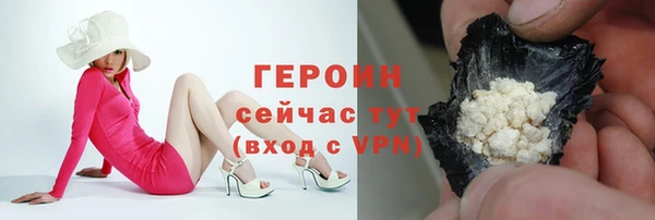 сатива Няндома