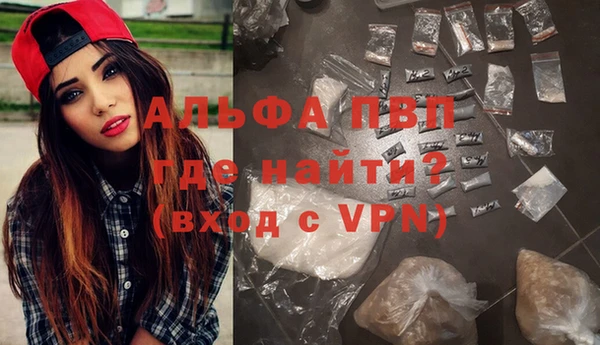 сатива Няндома