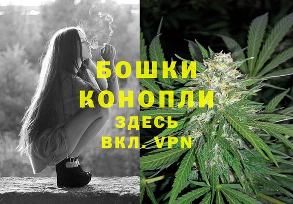 сатива Няндома