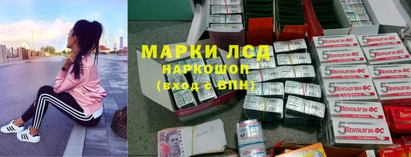шишки Нягань