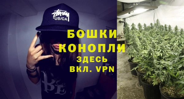 амф Нязепетровск