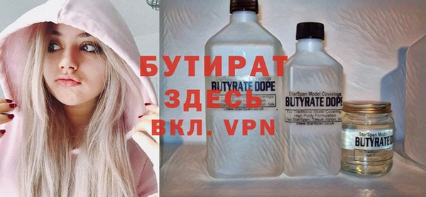 сатива Няндома
