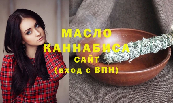 сатива Няндома