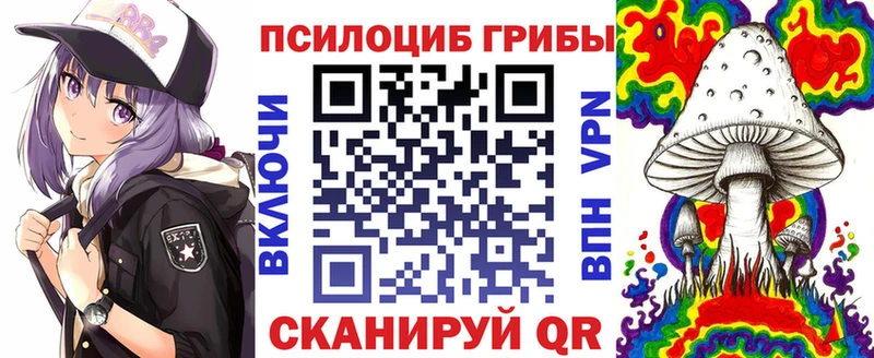 blacksprut вход  Сольцы  Галлюциногенные грибы Psilocybe 